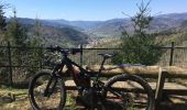 Tour Mountainbike Steinbach - Rocher Albert Waldkapel 2020 - Photo 5