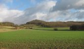 Tour Zu Fuß Wolfhagen - Burghasungen, B4 - Photo 4