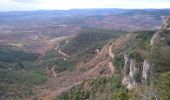 Excursión Senderismo Arboras - Arboras La Platriere - Les Salces-  Pas de l'Azé - Photo 1