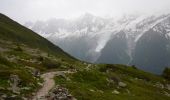 Randonnée Marche Les Houches - Parc Animalier Merlet - Chalets de Chailloux - Aiguillettes des Houches - Photo 8