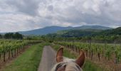 Trail Horseback riding Mollkirch - 2019-05-26 Balade Fête des mères - Photo 5