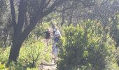 Tour Wandern La Garde-Freinet - Fort Freinet et les roches blanches - Photo 20