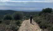 Trail Walking Rabós - Rabos effacer surplus…. - Photo 8