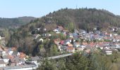 Tocht Te voet Rodalben - Rodalber Felsenwanderweg - Photo 3