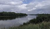 Tour Wandern Beaugency - L'âne et le chat - Balade Beaugency - Photo 12