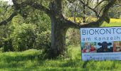 Tour Zu Fuß Gemeinde Leopoldsdorf - Augenblick Runde - Photo 4