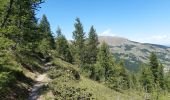 Tocht Stappen Vars - col de vars via l écuelle retour via refuge napoléon et font bonne - Photo 17