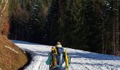 Trail Snowshoes Plateau-des-Petites-Roches - pravouta raquettes. 16,12,23 - Photo 4