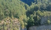 Tour Wandern Fanlo - Pyrénées 2023 Jour 9 - Canyon d'Anisclo - Photo 9