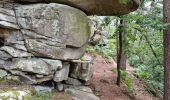 Tocht Stappen Fontainebleau - Fontainebleau Sentier Denecourt 1 prolongé - Photo 15