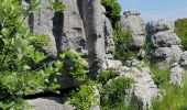 Excursión Senderismo Courmes - Courmes. Saint Barnabé et le champ des Idoles - Photo 15