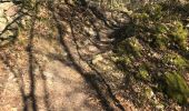 Trail Walking Sprimont - Cascade de CHANXHE 11Km - Photo 3