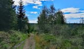 Trail Walking Eupen - Promenade de la forêt des ducs   - Photo 2