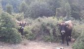 Trail Walking Banyuls-sur-Mer - 22 08 / 8-9-10 Oli40 - épisode 1 - Photo 4