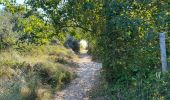 Tour Wandern Koksijde - Coxyde - Photo 11