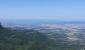 Tocht Stappen Dieulefit - Chapelle saint Maurice par le sentier du cochon - Photo 1