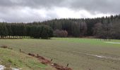 Tocht Stappen Neufchâteau - Randonnée à Neufchâteau  - Photo 14