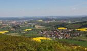 Trail On foot Gladenbach - Rimbergweg - Photo 10