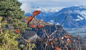 Trail Walking Venterol - URTIS . COL DE BUISSONET . SOM DE MONTSERIEUX . VENTEROL . O M S  - Photo 7