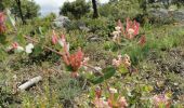 Tour Wandern Signes - Boucle Chibron - Haut Latay - Photo 15