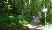 Trail Walking Liège - Grivegnée Beyne-Heusay Jupille Grivegnée - Photo 1