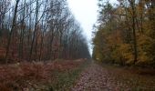 Tocht Stappen Saint-Étienne-du-Rouvray - 20221115-La Maison des Forets - Photo 5