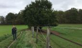 Trail Walking Grez-Doiceau - #221104 - Florival > Pécrot, GRP127 - Photo 9