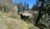 Trail Walking Saint-Étienne-Vallée-Française - Le Martinet - Photo 1