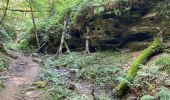 Tour Wandern Fels - Larochette-Scheidgen - Photo 6