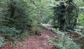 Tocht Stappen Cros - Le pont du diable, en p1rtant du gîte aux milles fleurs - Photo 20