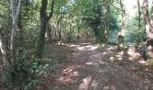 Tour Wandern Valorbiquet - La Chapelle Yvon  - Photo 4