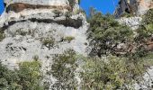 Randonnée Marche Lioux - beauté gorges de vaumale lioux - Photo 4