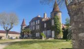Trail Walking Labastide-d'Armagnac - Labastide d'Armagnac : La ronde des quatre châteaux - Photo 13