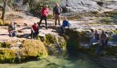 Randonnée Marche Tourves - Tourves- Le Saut du Cabri - Les gorges du Caramy - Photo 12