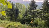 Excursión Senderismo Plateau-des-Petites-Roches - Cascade du Douix - Photo 2