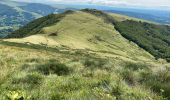 Tocht Stappen Mandailles-Saint-Julien - Mandailles Elanceze Col de Pertus - Photo 6