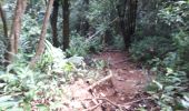 Trail Walking Ban Phakkout - Tad Fan Boucle - Photo 2