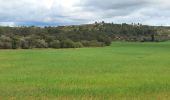 Tocht Stappen Lançon-Provence - La Fare Lançon - Photo 1