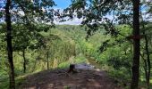 Trail Walking Florenville - rando chassepierre 12-07-2023 - Photo 6