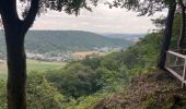 Tocht Stappen Echternach - Trek Rchternacht 2  - Photo 1