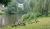 Tour Wandern Esneux - tilf . ferme de femelette.  roche aux faucons.  avister. tilf  - Photo 1