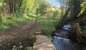 Trail Walking Valorbiquet - St Cyr du Ronceray/Pretreville  - Photo 6