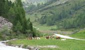 Randonnée A pied Sand in Taufers - Campo Tures - IT-9B - Photo 9