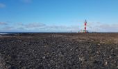 Tocht Stappen La Oliva - LZ5 - Tour et Phare de Toston - Photo 2