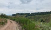 Tocht Stappen La Roche-en-Ardenne - Ramee  - Photo 12