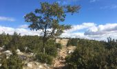 Trail Walking Vauvenargues - Sainte-Victoire (accès par Vauvenargues et GR9) - Photo 11