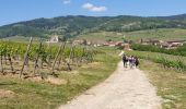 Randonnée Marche Mittelwihr - Les perles du vignoble : Mittelwihr - Beblenheim - Zellenberg - Hunawihr - Riquewihr - Sigolsheim - Photo 4