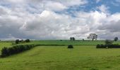 Trail Walking Comblain-au-Pont - poulseur . chanxhe . fays . monfort . poulseur - Photo 10