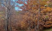 Tour Wandern Aubignosc - CHATEAU NEUF VAL S DONNAT  , jas de Mathieu , crêtes de Lure , Pas de Jean RICHARD o n  - Photo 7