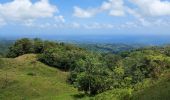 Tocht Stappen Le Lorrain - Carabin - Morne Jacob N2 - Photo 2